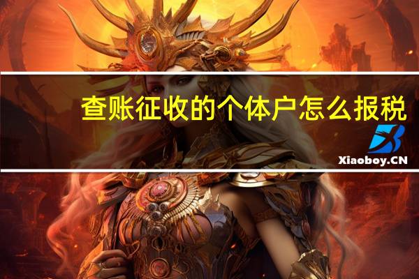 查账征收的个体户怎么报税