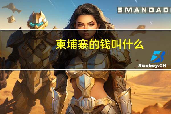 柬埔寨的钱叫什么