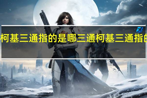 柯基三通指的是哪三通柯基三通指的什么
