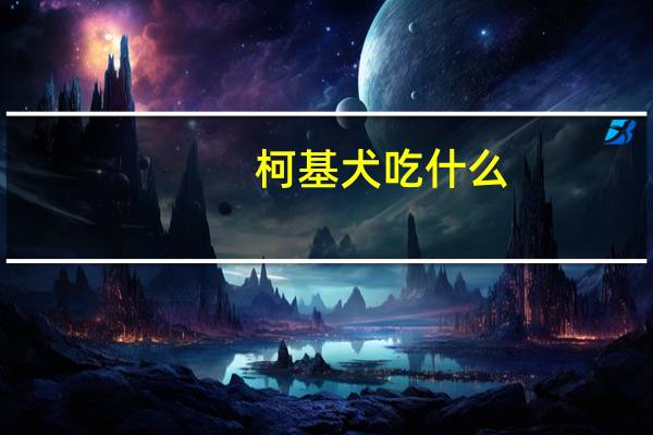 柯基犬吃什么