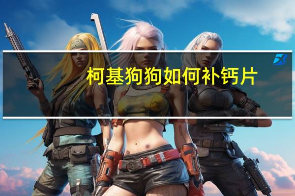 柯基狗狗如何补钙片