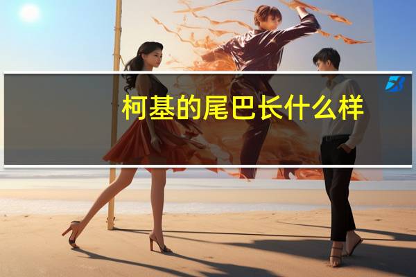柯基的尾巴长什么样
