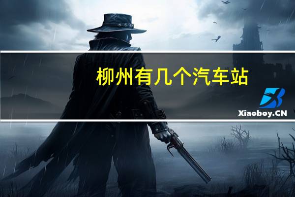 柳州有几个汽车站