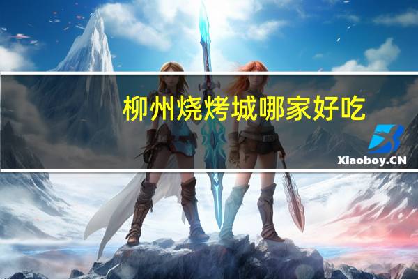 柳州烧烤城哪家好吃