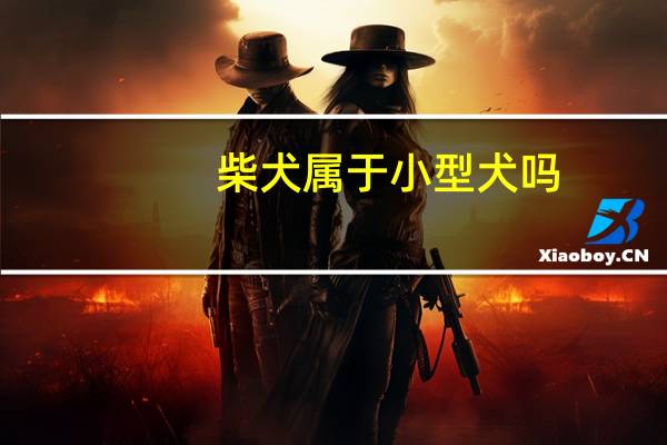 柴犬属于小型犬吗