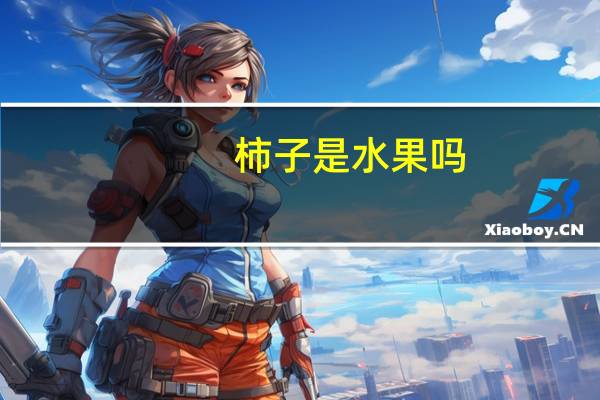 柿子是水果吗