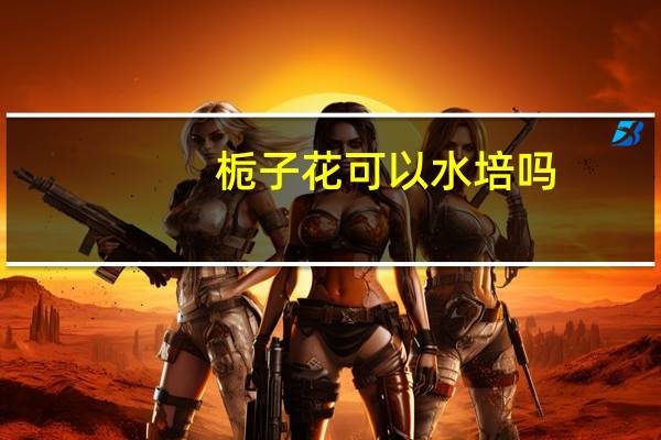 栀子花可以水培吗