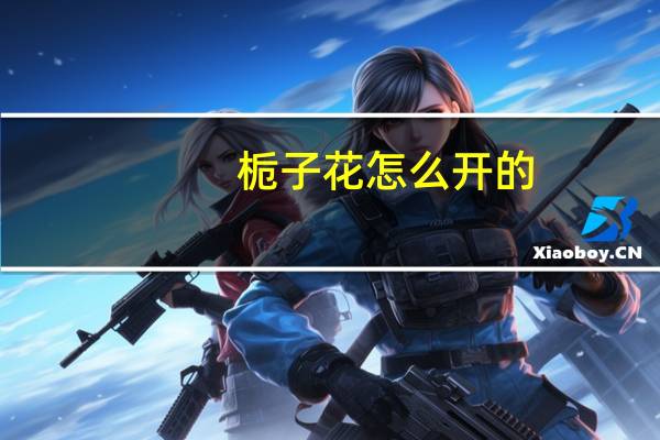 栀子花怎么开的