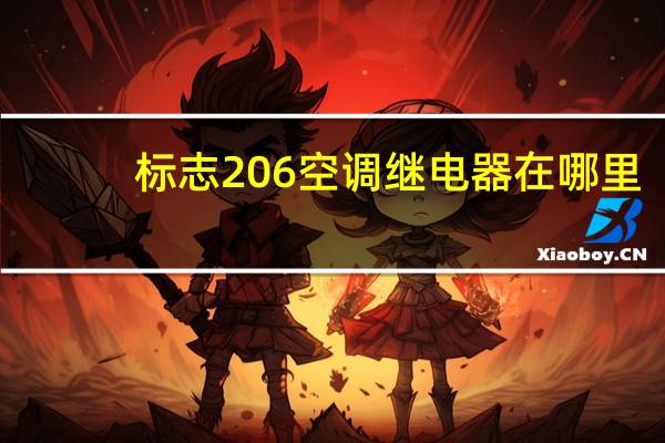 标志206空调继电器在哪里