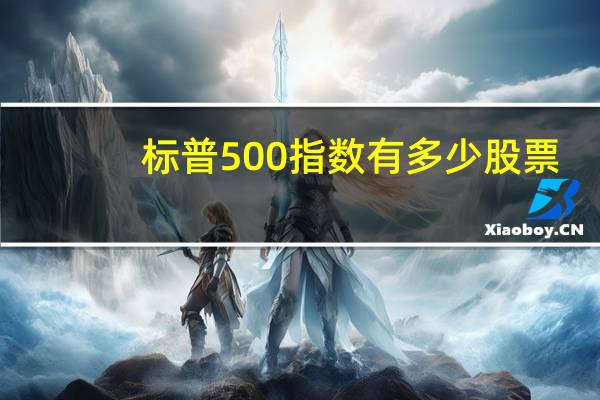标普500指数有多少股票