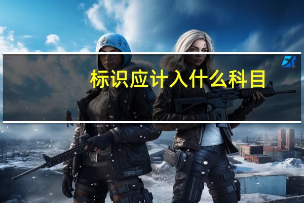 标识应计入什么科目