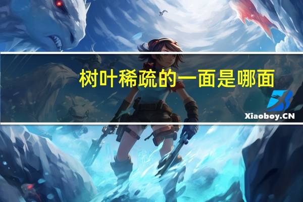 树叶稀疏的一面是哪面