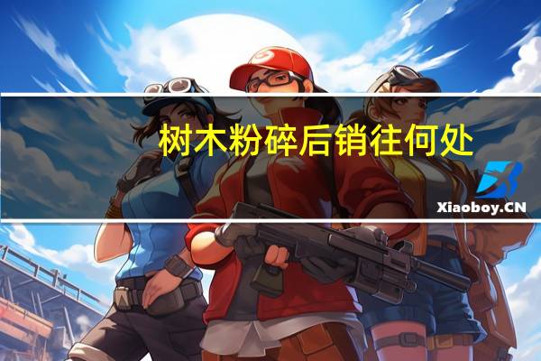 树木粉碎后销往何处