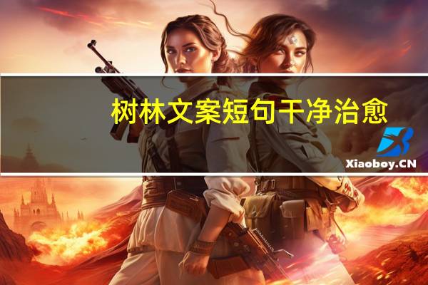 树林文案短句干净治愈