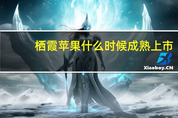 栖霞苹果什么时候成熟上市