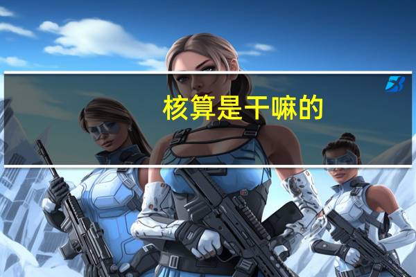 核算是干嘛的