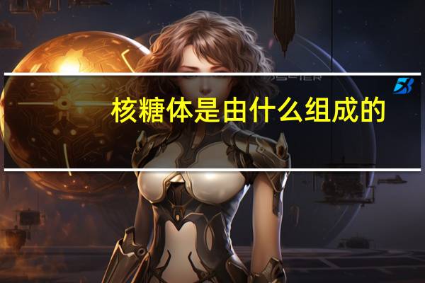 核糖体是由什么组成的