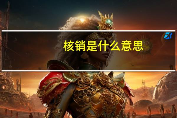 核销是什么意思，求助