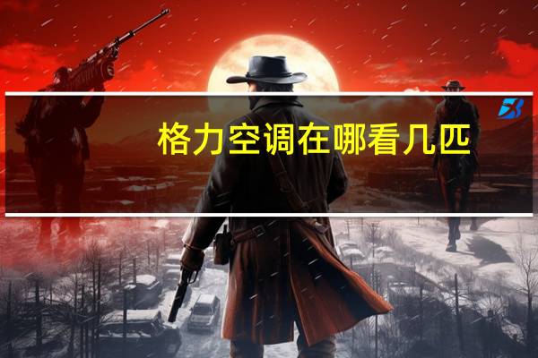 格力空调在哪看几匹