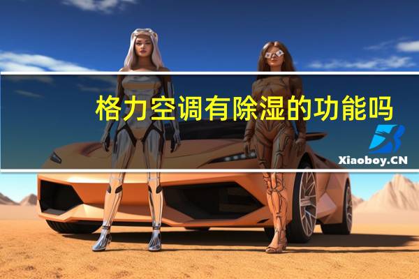 格力空调有除湿的功能吗