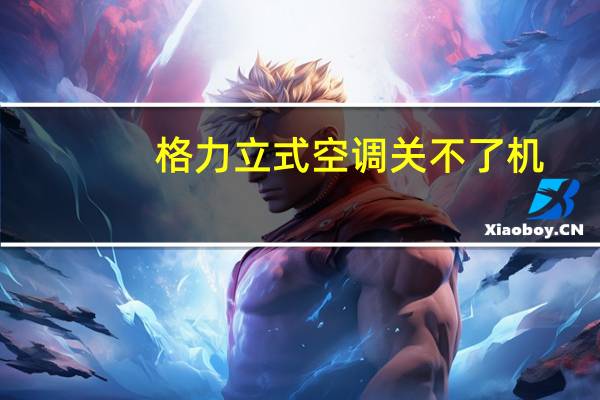 格力立式空调关不了机