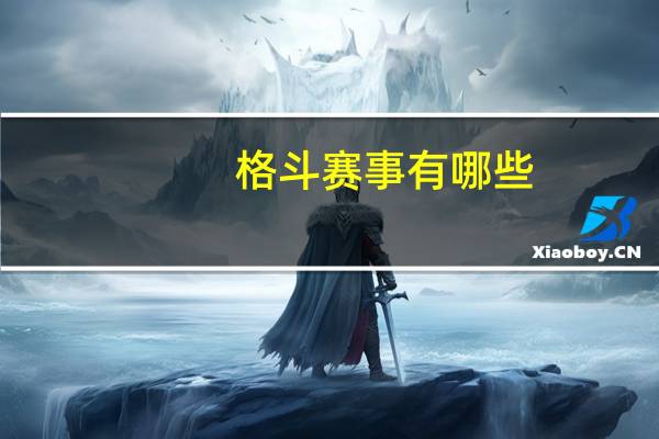 格斗赛事有哪些