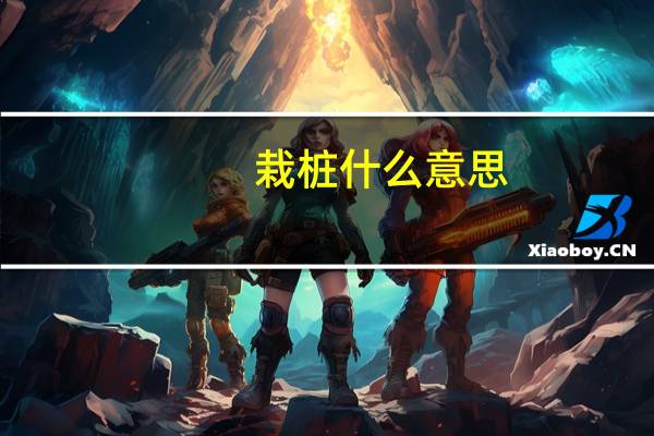 栽桩什么意思