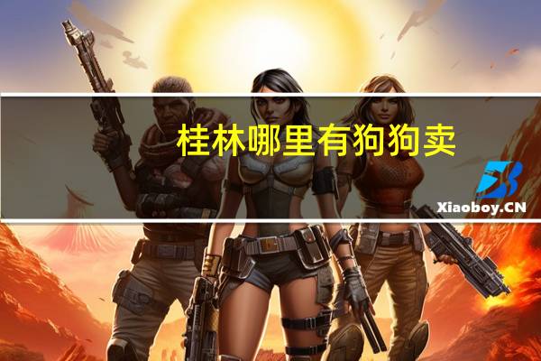 桂林哪里有狗狗卖