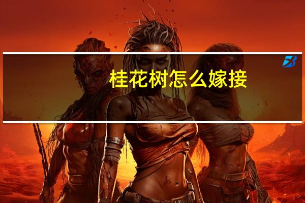 桂花树怎么嫁接