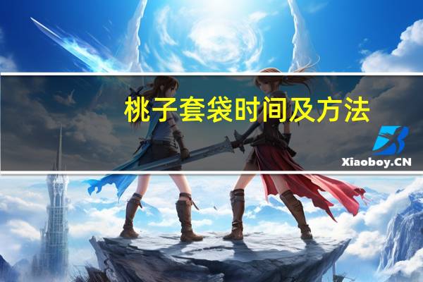 桃子套袋时间及方法