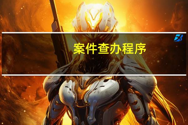 案件查办程序
