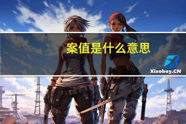 案值是什么意思
