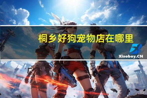 桐乡好狗宠物店在哪里