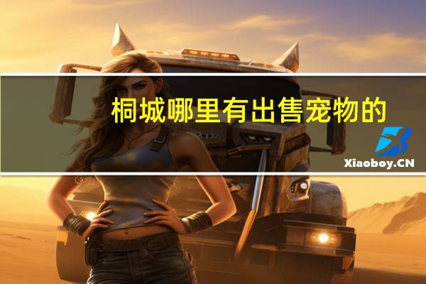 桐城哪里有出售宠物的