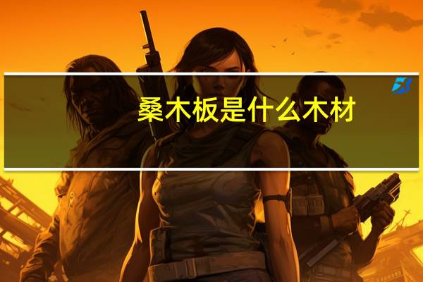 桑木板是什么木材