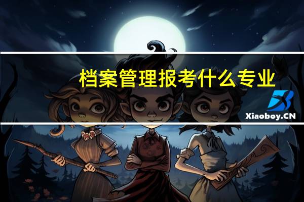 档案管理报考什么专业