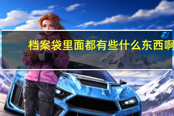 档案袋里面都有些什么东西啊