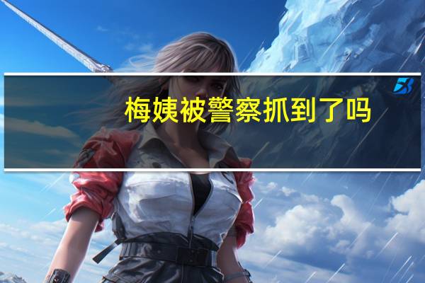 梅姨被警察抓到了吗