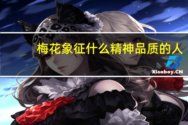 梅花象征什么精神品质的人