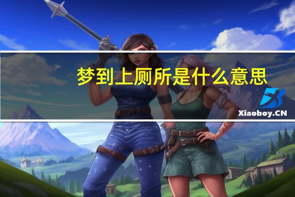 梦到上厕所是什么意思