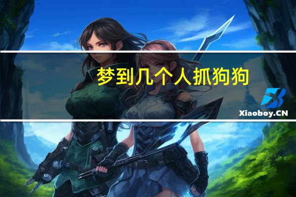 梦到几个人抓狗狗