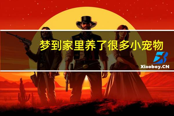 梦到家里养了很多小宠物