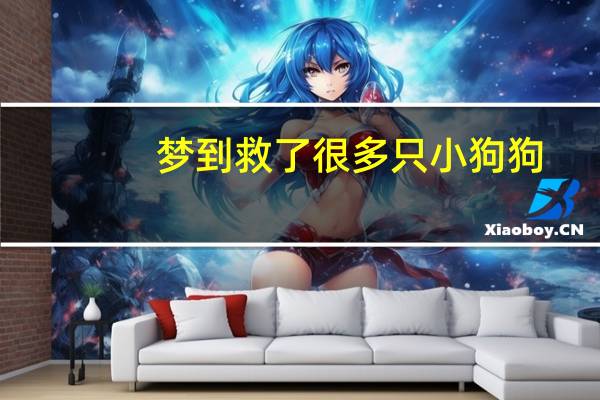梦到救了很多只小狗狗