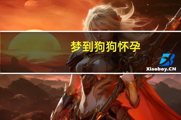 梦到狗狗怀孕