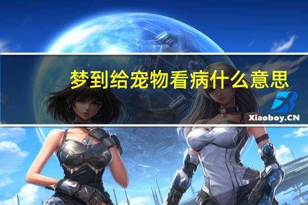 梦到给宠物看病什么意思