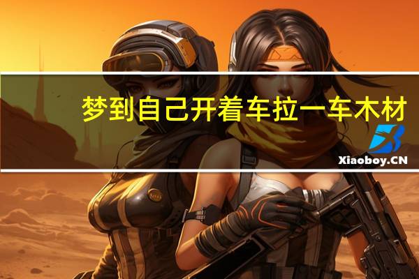 梦到自己开着车拉一车木材