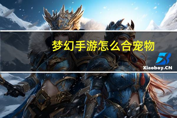 梦幻手游怎么合宠物