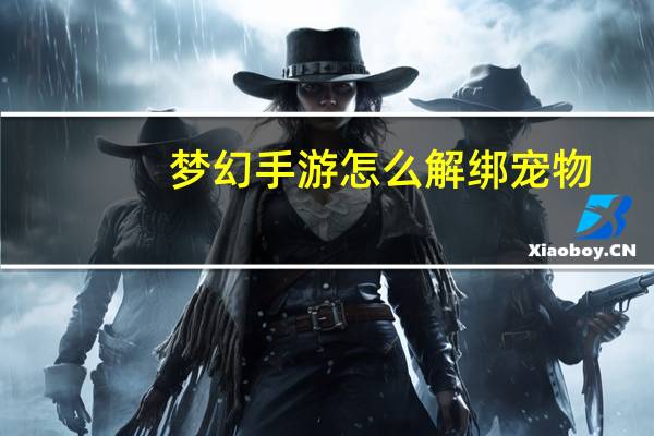 梦幻手游怎么解绑宠物