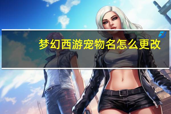 梦幻西游宠物名怎么更改