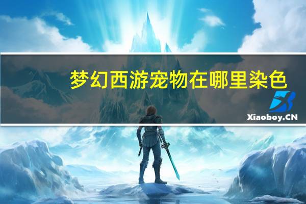 梦幻西游宠物在哪里染色